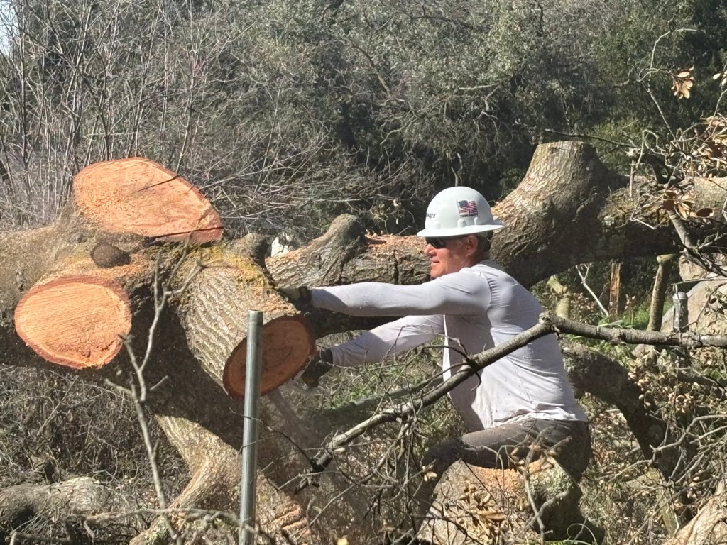 Millea fixing up property